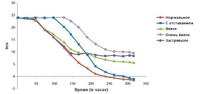 Типы проблем брожения Виды проблем брожения вина.