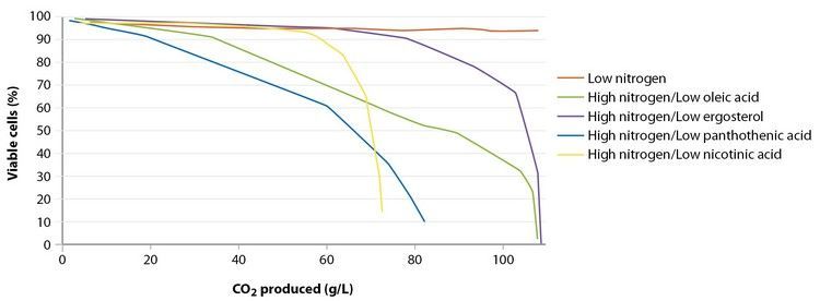 вино-брожение-заблокировано-4.jpg вино-брожение-заблокировано-4.jpg