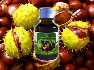 Полезные компоненты каштана Полезный состав каштана