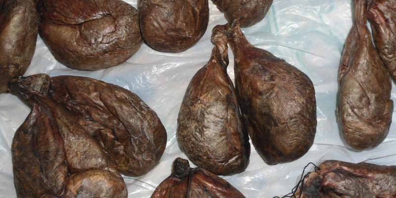 Анальные мешочки для бобра Анальные мешочки для бобра