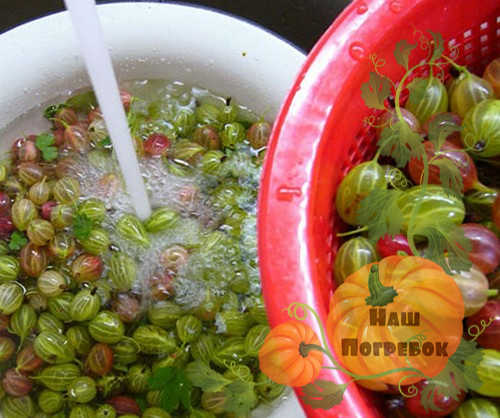 ягоды-Крыжовника