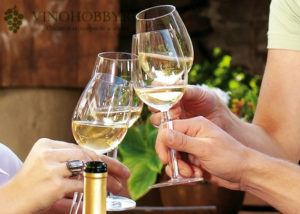 бокал для вина 7