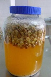 Самодельная начальная культура Закваска с изюмом