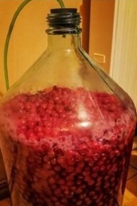 Старый рецепт Вишня с семенами