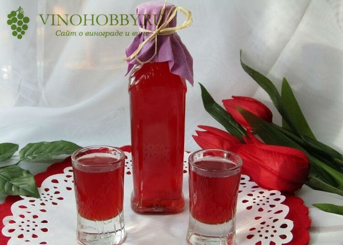 клюквенная-Настойка 13