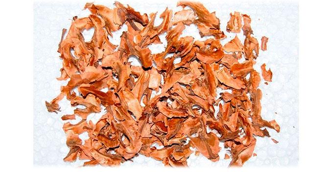 Вред перегородок грецкого ореха Вред перегородок грецкого ореха