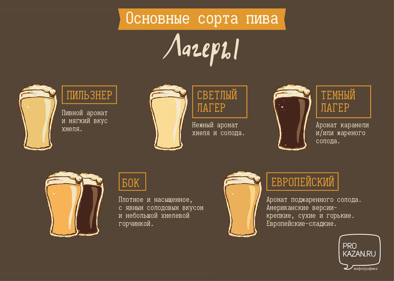 Основные сорта лагеров