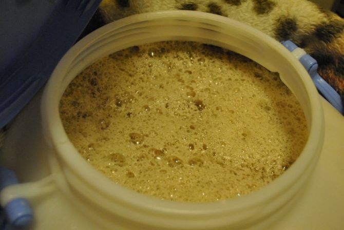 Готовим пюре на Кодзи