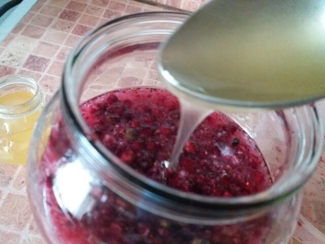 Клюквенная настойка - домашние рецепты