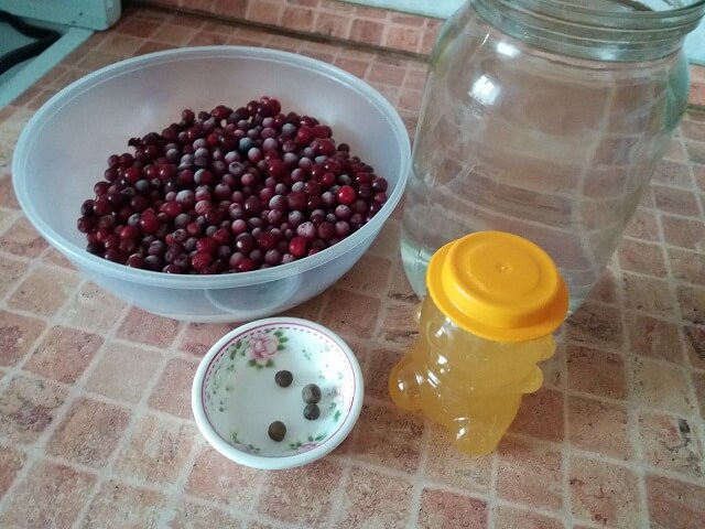 Клюквенная настойка - домашние рецепты