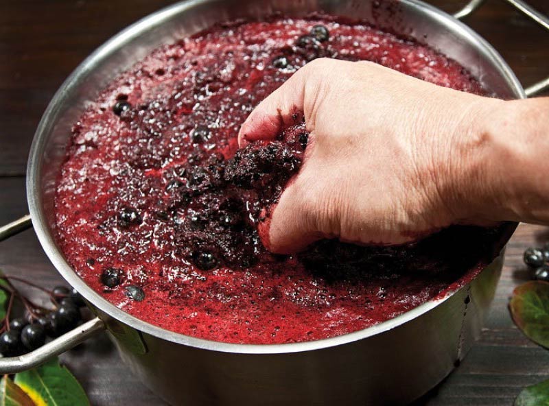 сделать вино из черноплодной рябины