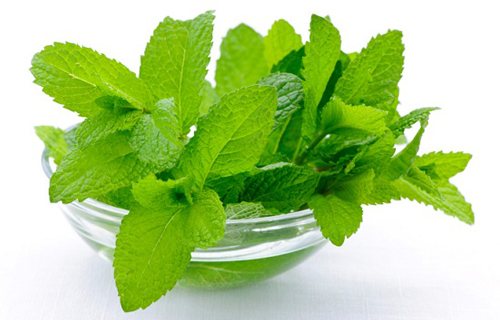 Настойка на мятной водке в домашних условиях - 3 рецепта