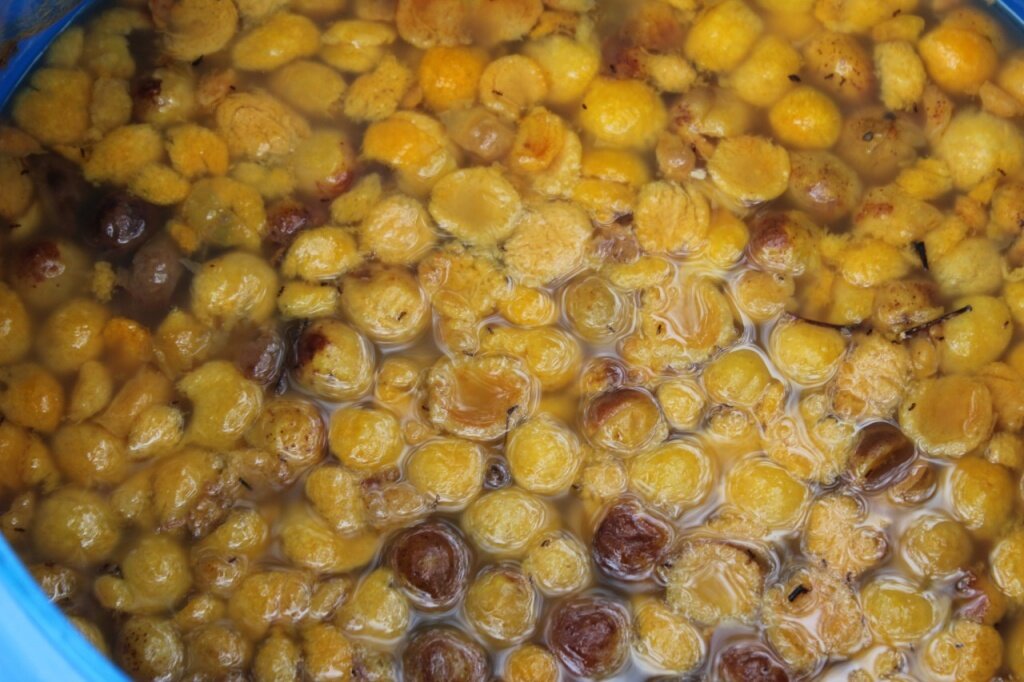 Зачем делать самогон 96,6%. Он же мёртвый.