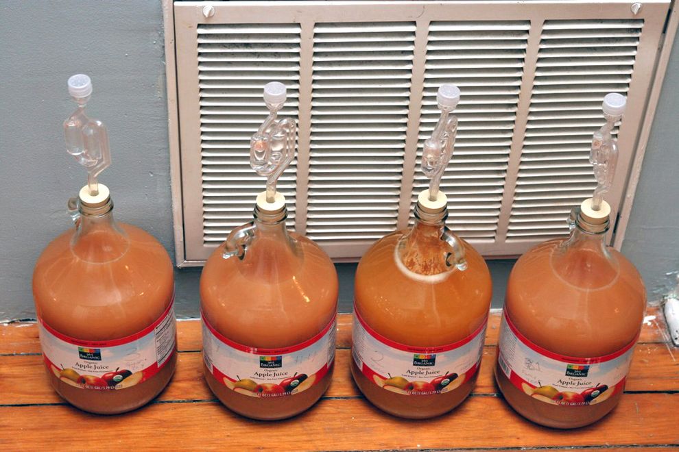 Брага из яблок с гидрозатвором