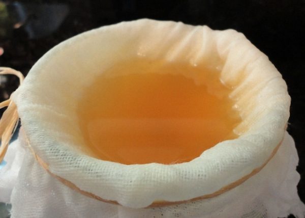 Абрикосовое вино в домашних условиях по простому рецепту