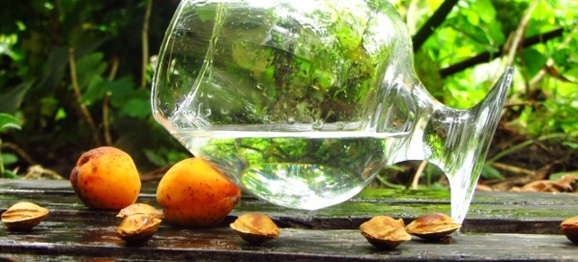 Абрикосовое вино в домашних условиях по простому рецепту