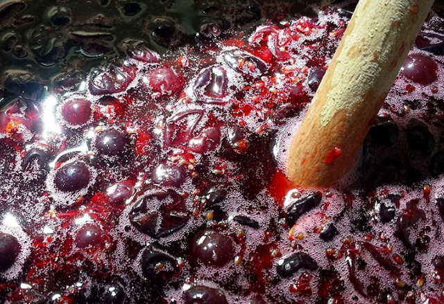 Что делать если брага перестала играть – 6 решений проблемы