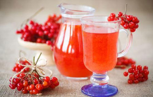 Домашнее вино из калины – рецепт и технология приготовления