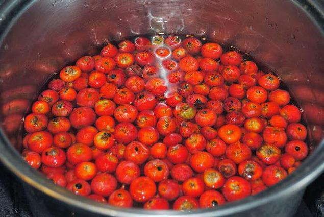 Домашнее вино из шиповника по проверенному рецепту