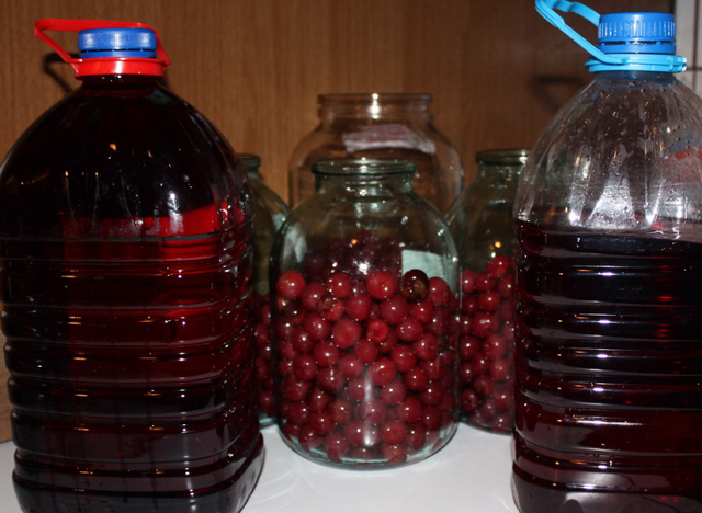 Домашние рецепты вишни (черешни) в вине