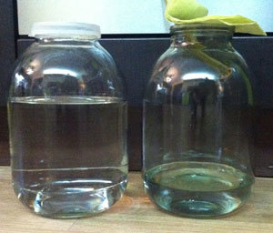 Фильтрация зерновой браги перед перегонкой?