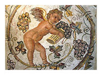 История вина и виноделия – появление и важные этапы развития