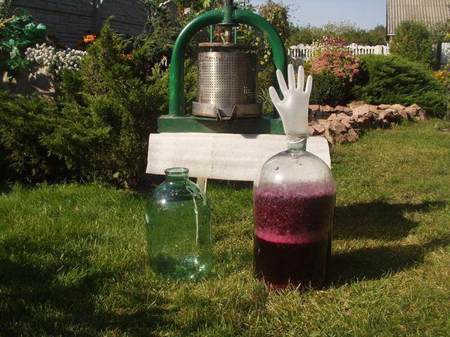 Как остановить брожение вина – 3 метода прекратить работу дрожжей