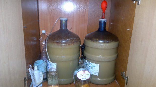 Как узнать крепость сусла (фруктовой браги)