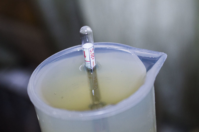 Как узнать крепость сусла (фруктовой браги)