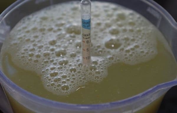 Как узнать крепость сусла (фруктовой браги)