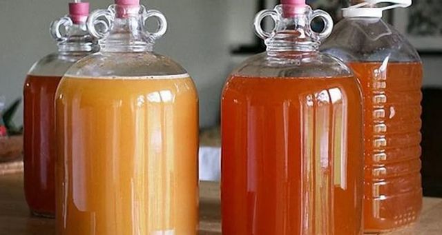 Лучшая емкость для фруктовой браги