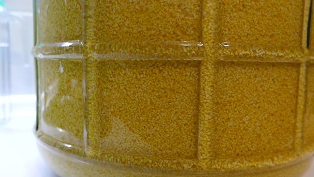 Лучшая емкость для зерновой браги