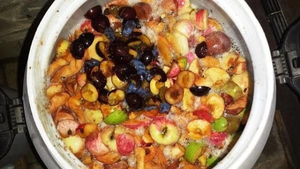 Правильная дистилляция фруктовой браги - основные моменты