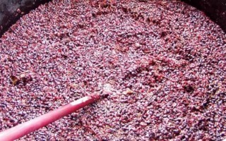 Приготовление браги для питья из варенья или сока