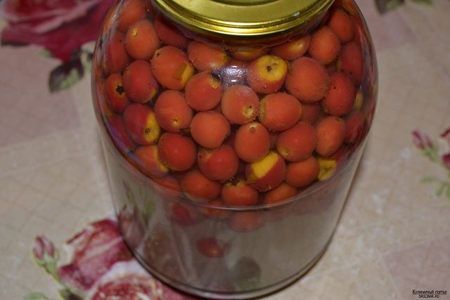 Самогон из боярышника – правильный рецепт браги и перегонка