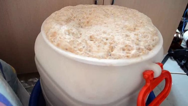 Самогон из солода (обычного и зеленого) - рецепт браги