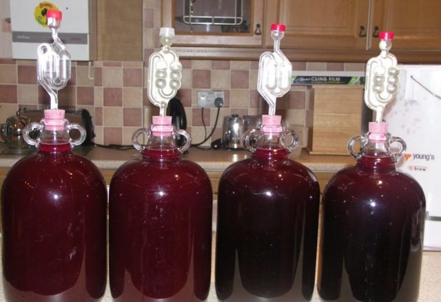 Самогон из вишни в домашних условиях - рецепт вишневой браги