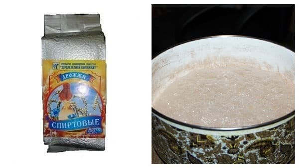Спиртовая брага – рецепт и пропорции воды, сахара, дрожжей