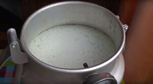 Осадок молока в самогоне