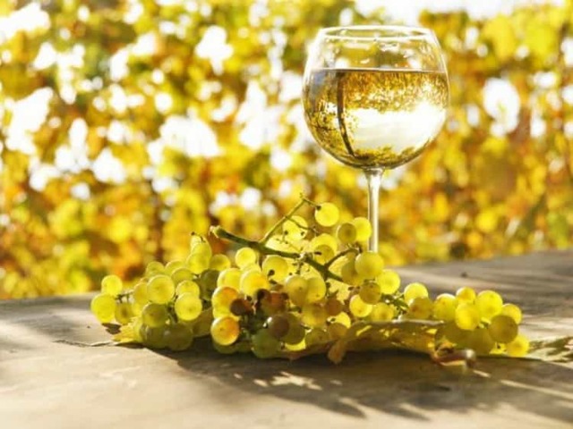 Вина Шабли (chablis) – особенности, категории, правила подачи