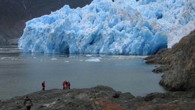 Вина «Нового Света»: список стран и особенности виноделия