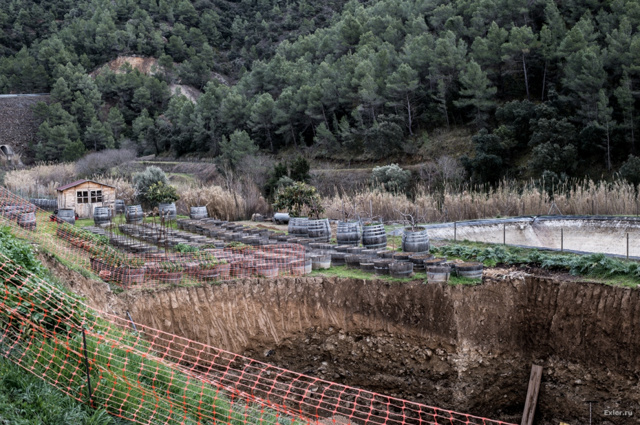Вина Приората: особенности, история, виды, известные марки