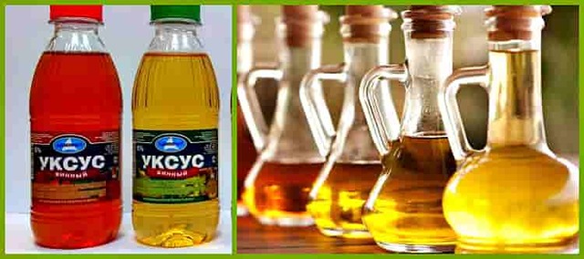 Уксус в вине – причины появления и профилактика
