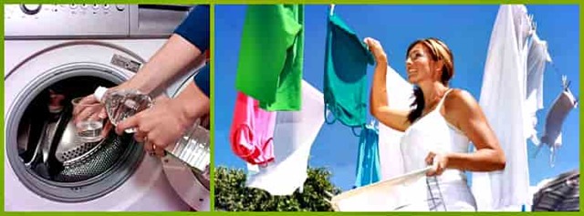 Уксус в вине – причины появления и профилактика