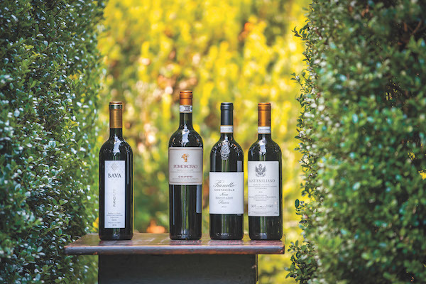 Вино Барбера: особенности, история, виды и культура пития