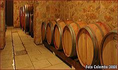 Вино Бардолино: особенности производства и культура пития