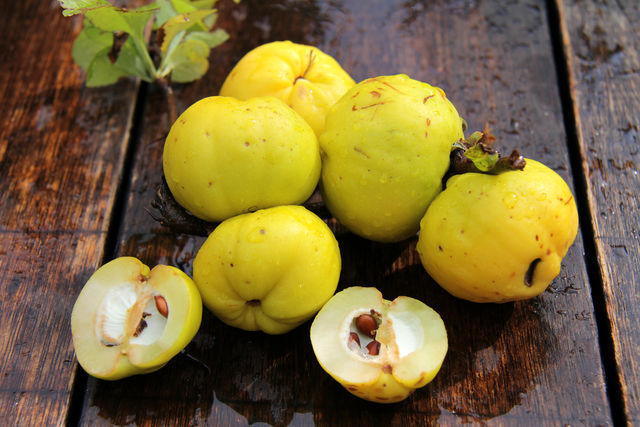 Вино из айвы в домашних условиях – простой рецепт