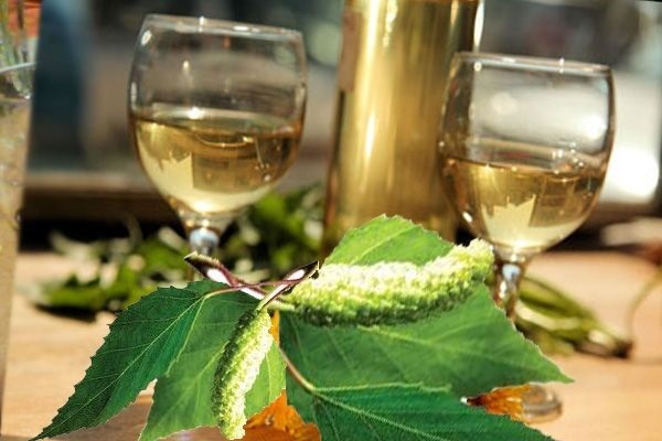 Вино из березового сока в домашних условиях