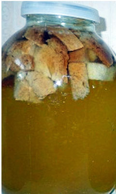 Вино из березового сока в домашних условиях