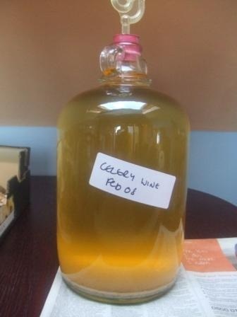 Вино из моркови в домашних условиях – рецепт без дрожжей